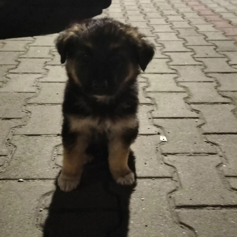 Poznam panią mile spędzenie razem wolnego czasu jestem otwarty na prop