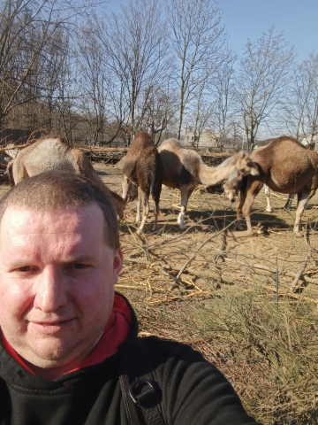 Dominujący panią/parę na namiętne spotkanie