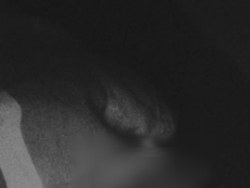 Sex spotkania co dzień