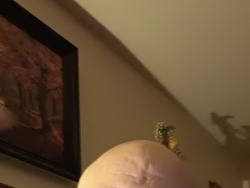 Szukam dziewczyny do stałego układu z krakowa