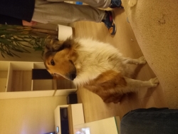 Poznam panią mile spędzenie razem wolnego czasu jestem otwarty na prop