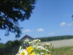 Grzeczna przyjemność