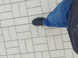 Tylkodlastarszej