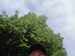 Sex bez zobowiązań