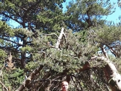 Szukam chętnej kobiety na cyber sex