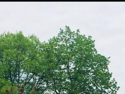 Szukam pani na sex bez zobowiązań