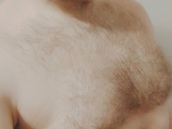 Brunet wieczorową porą...:-*