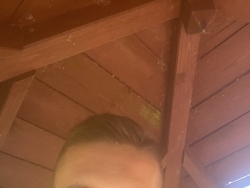 Poszukiwana przyjaciółka