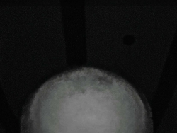 Spotkamy się dziś stęszew i okolice tylko i wyłącznie panie